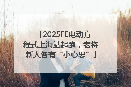 2025FE电动方程式上海站起跑，老将新人各有“小心思”