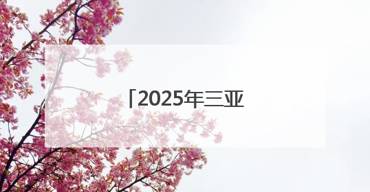2025年三亚市文化惠民演出系列活动启动，露营音乐会浪漫开场