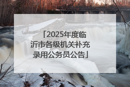 2025年度临沂市各级机关补充录用公务员公告