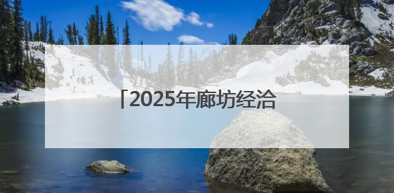 2025年廊坊经洽会·深度｜实现物流新愿景 河北再出发
