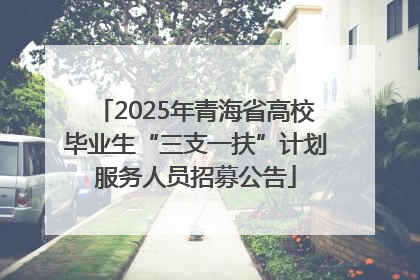 2025年青海省高校毕业生“三支一扶”计划服务人员招募公告