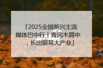 2025全国新兴主流媒体巴中行丨青冈木屑中，长出银耳大产业