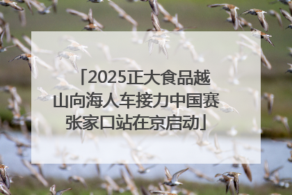 2025正大食品越山向海人车接力中国赛张家口站在京启动