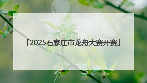 2025石家庄市龙舟大赛开赛