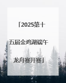 2025第十五届金鸡湖端午龙舟赛开赛