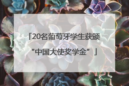 20名葡萄牙学生获颁“中国大使奖学金”