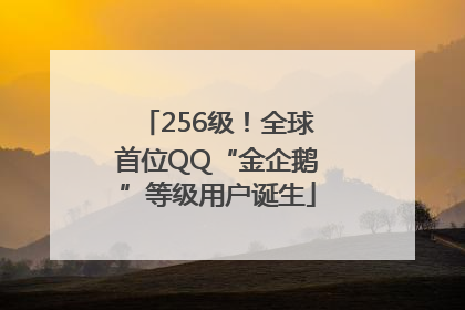 256级！全球首位QQ“金企鹅”等级用户诞生
