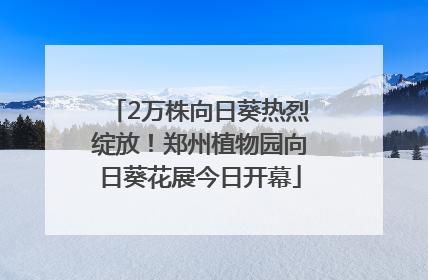 2万株向日葵热烈绽放！郑州植物园向日葵花展今日开幕