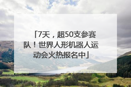 7天，超50支参赛队！世界人形机器人运动会火热报名中