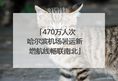 470万人次 哈尔滨机场暑运新增航线畅联南北