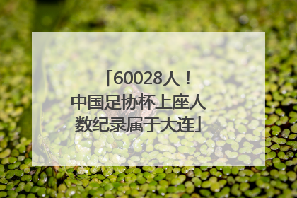 60028人！中国足协杯上座人数纪录属于大连