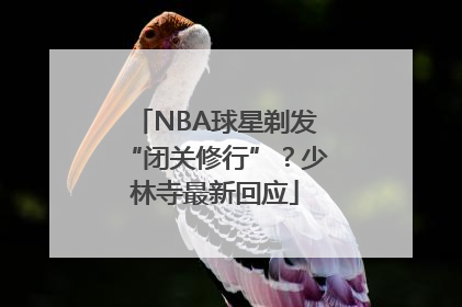 NBA球星剃发“闭关修行”？少林寺最新回应