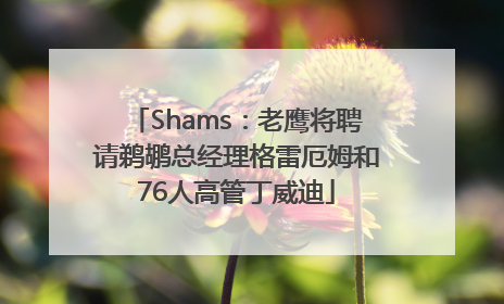 Shams：老鹰将聘请鹈鹕总经理格雷厄姆和76人高管丁威迪