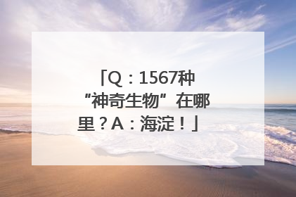 Q：1567种“神奇生物”在哪里？A：海淀！